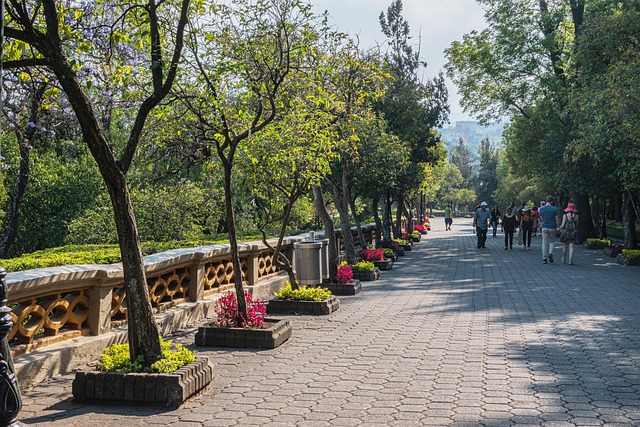 map location Av. Chapultepec Sur 480 Guadalajara